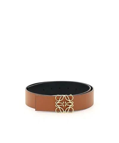 Loewe Logo Belt In Brown