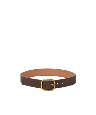 Loewe Logo Belt In Brown