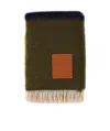 Loewe Printed Scarf In Brown