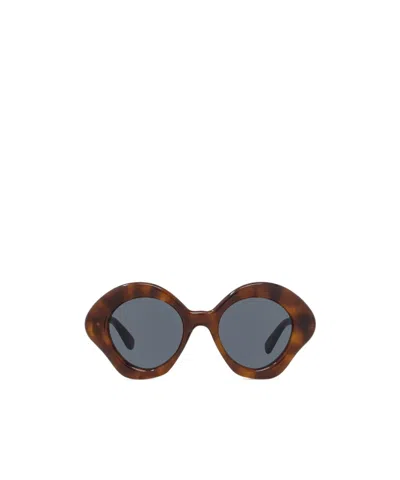 Loewe Curvy Cat-eye Sunglasses In Multi