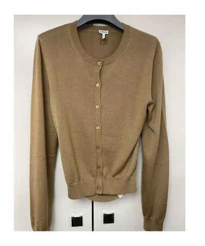 Loewe Long Sleeve Sweater In Brown
