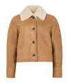 Loewe Shearling Jacket With Faux Fur Collar In Brown
