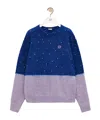 Loewe Mohair Blend Sweater In Blue