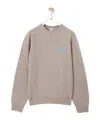 Loewe Long-sleeved Sweater In Gray