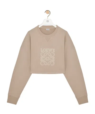Loewe Long-sleeved Sweater In Nude