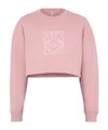 Loewe Long-sleeved Sweater In Pink