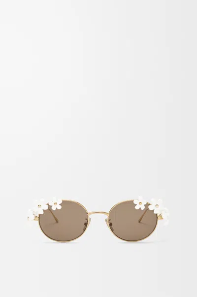 Loewe Daisy Field Sunglasses For Woman In Transparent