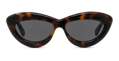 Loewe Lw40096i - Dark Havana Sunglasses