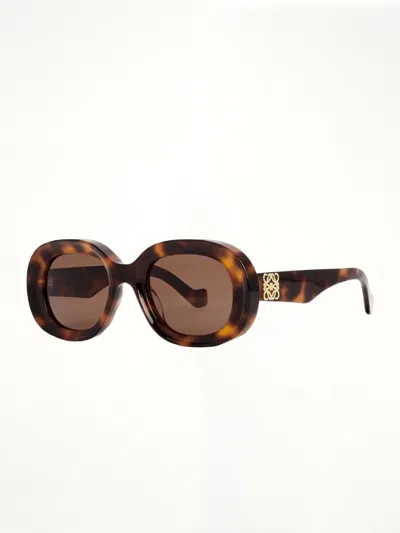 Loewe Lw40103u Acetate Sunglasses Black / Os In Brown