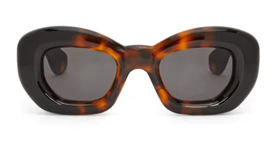 Loewe Lw40117i - Dark Havana Sunglasses