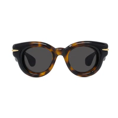 Loewe Lw40118i Signature 52a Havana Sunglasses In Brown