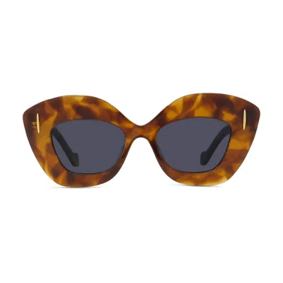 Loewe Lw40127i Anagram 53v Havana Sunglasses In Brown