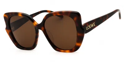 Loewe Lw40133f 52e Women's Sunglasses  Size 55 In Brown