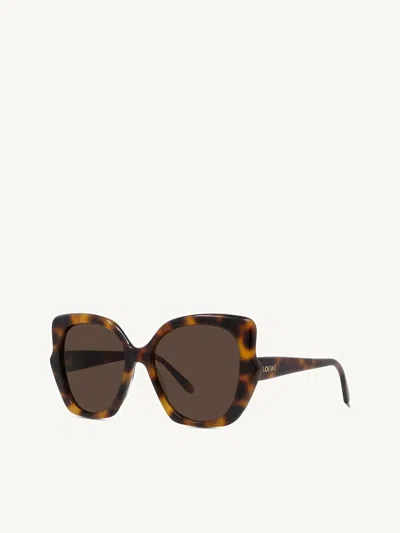 Loewe Lw40133f 5552e Acetate Sunglasses In Tortoise