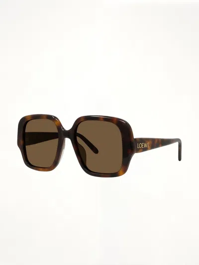 Loewe Lw40134u 5452e Acetate Sunglasses In Brown