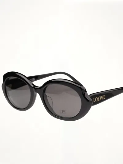 Loewe Lw40147f 5501a Acetate Sunglasses In Black