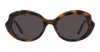 Loewe Thin Mini 54mm Oval Sunglasses In Dark Havana