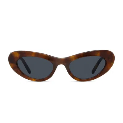 Loewe Lw40156u Slim 53v Havana Sunglasses In Brown