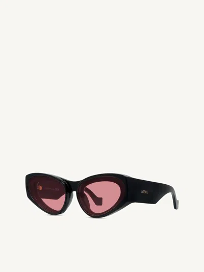 Loewe Lw40171u Injected Sunglasses In Black