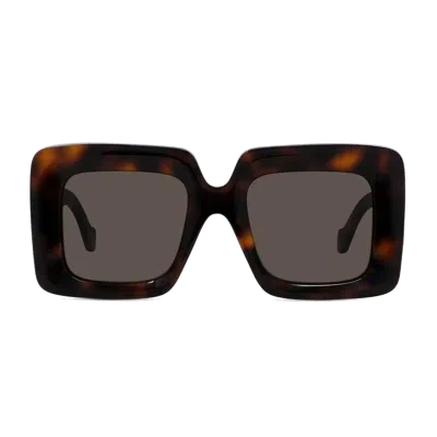 Loewe Lw40176 U Sunglasses In Brown