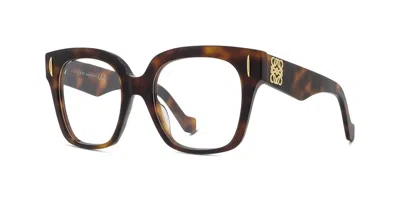 Loewe Lw50069i Women's Glasses, Tortoiseshell, Size 51 In Brown