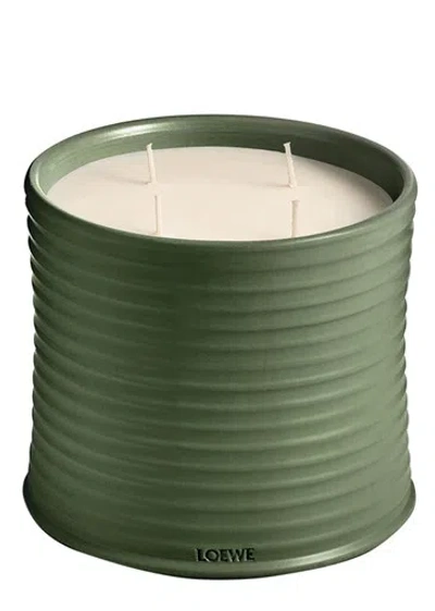Loewe Marihuana Candle In Green