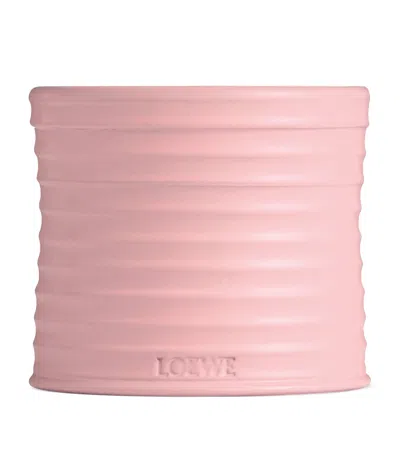 LOEWE MEDIUM IVY CANDLE