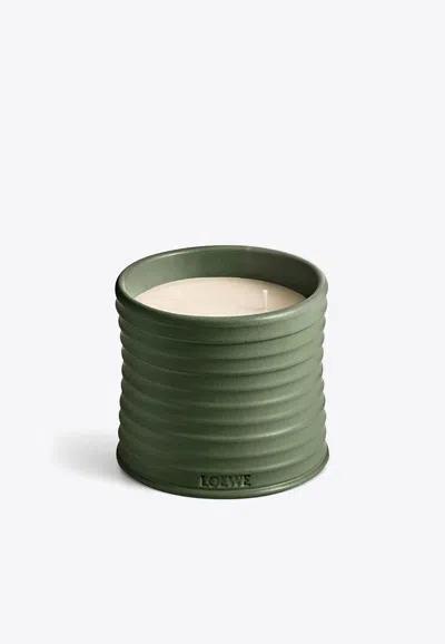 Loewe Medium Marihuana Scented Candle In Green