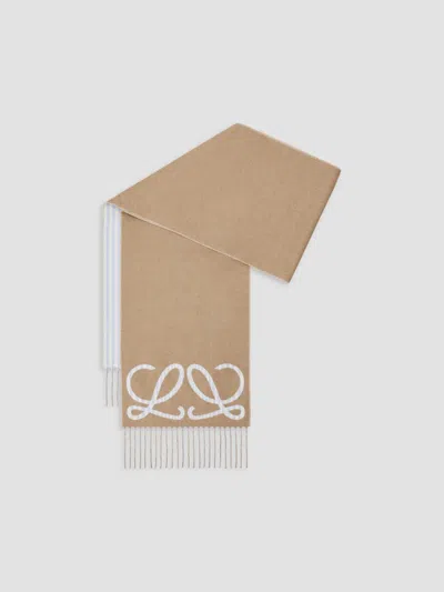 Loewe Men's Anagram Silk-cashmere Scarf In Brown