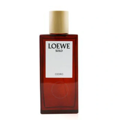 Loewe Men's Solo Cedro Edt Spray 3.4 oz Fragrances 8426017070546 In Orange / Pink