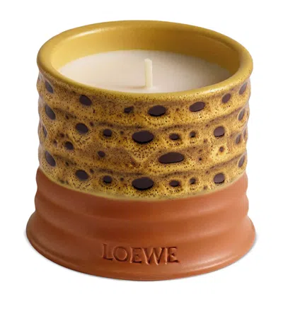 Loewe Mimosa Candle