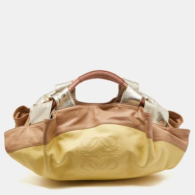 Pre-owned Loewe Multicolor Leather Aire Hobo