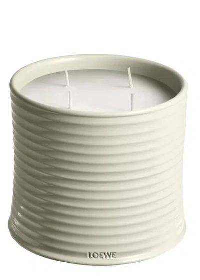 Loewe Mushroom Scented Candle In Green