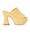 Loewe Woven Raffia Open-toe Platform Mules In Yellow