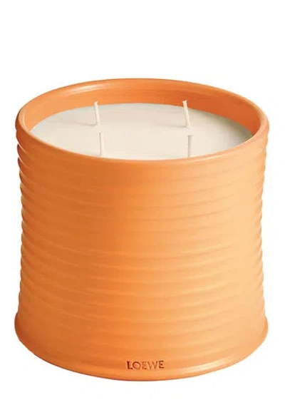 Loewe Orange Blossom Candle