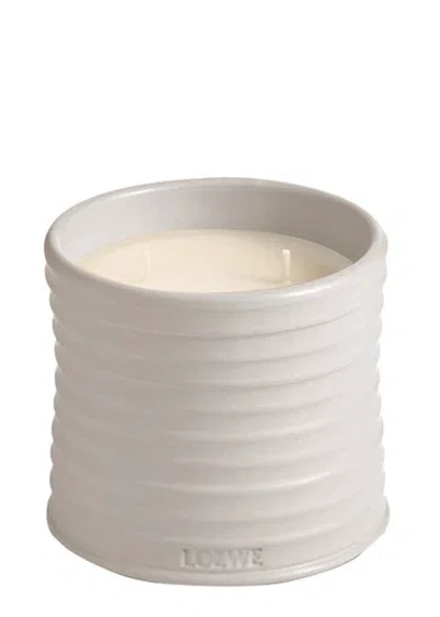 Loewe Oregano Candle In Grey