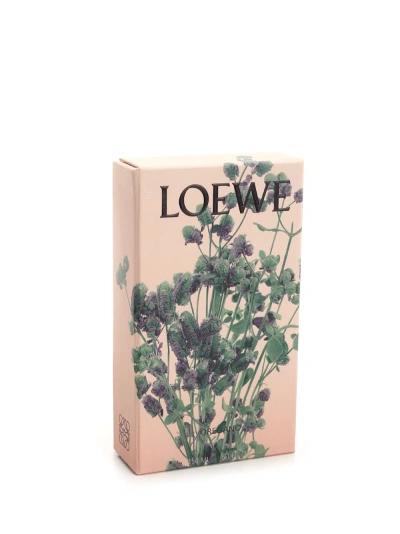 Loewe Oregano Home Fragrance In Green