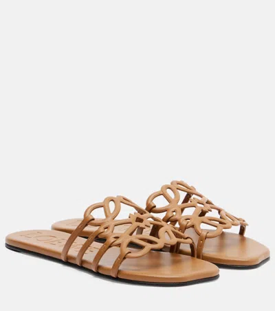 Loewe Paula's Ibiza Petal Anagram Leather Slides In Brown