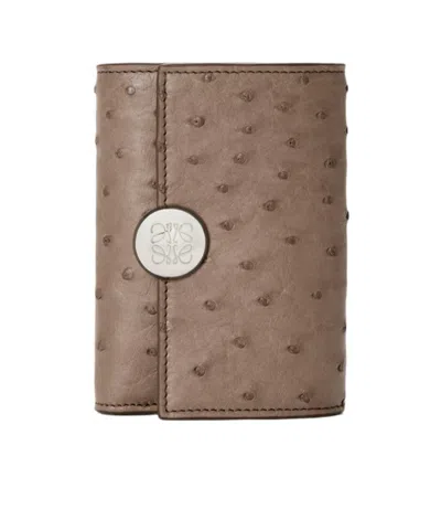 Loewe Pebble Small Vertical Wallet In Ostrich In Dark Grey Brown
