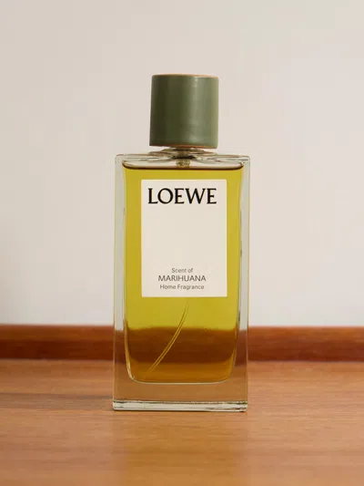 Loewe Perfumes Home Fragrance In Green