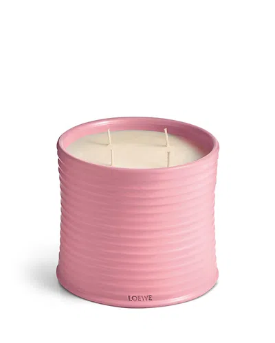 Loewe Perfumes Ivy Scented Candle 72.1 Oz. In Pink