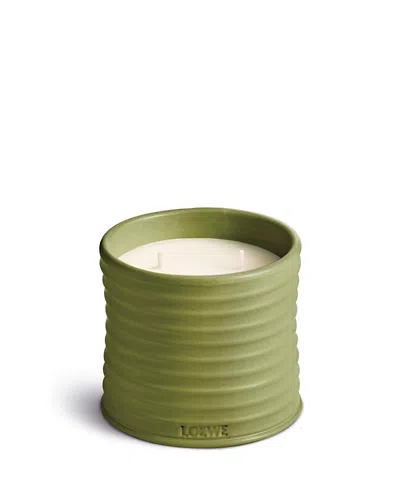 Loewe Perfumes Pistachio Scented Candle 20.7 Oz. In Green