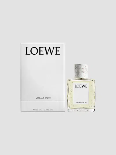 Loewe Perfumes Verdant Grove Eau De Parfum In Size 3.4-5.0 Oz.
