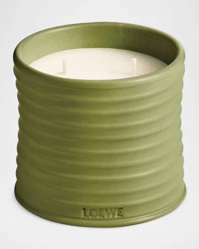 Loewe Medium Pistachio Candle In Green