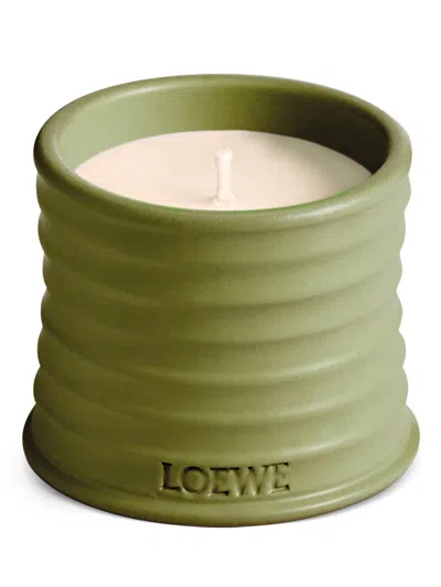Loewe Pistachio Small Scented Candle In Green
