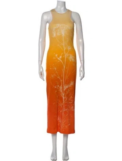 Pre-owned Loewe Printed Long Dress In Orange