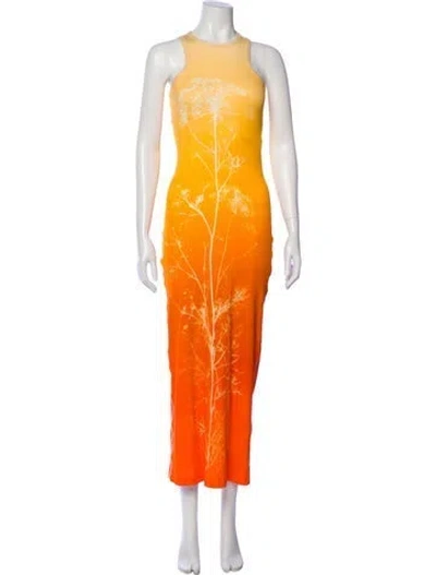 Pre-owned Loewe Printed Long Dress In Orange