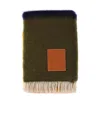 Loewe Printed Scarf In Brown