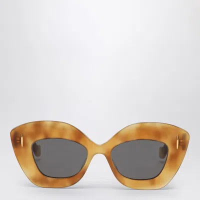 Loewe Lw40127i Anagram 53a Havana Light Sunglasses In Multi
