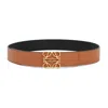 Loewe Belts In Brown